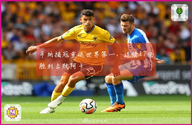 辛纳摘冠重返世界第一，连续17场胜利击败阿卡