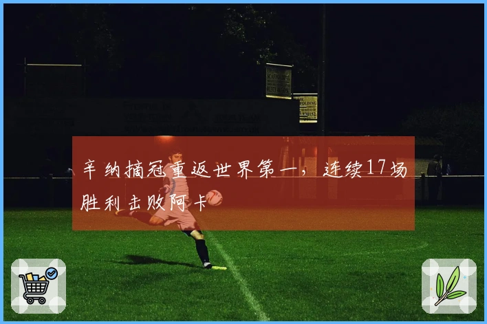 辛纳摘冠重返世界第一，连续17场胜利击败阿卡